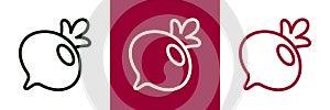 Beetroot Icon. Vector Set Sugar Beet in Line style. Isolated Vegetable Logo.