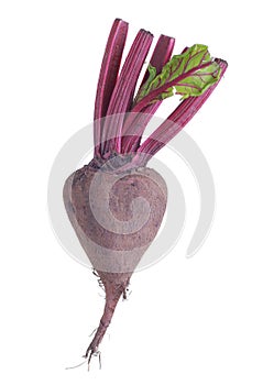 Beetroot isolated