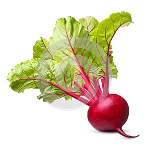 Beetroot isolated