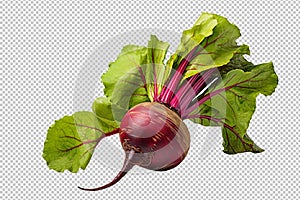 Beetroot isolated on transparent background