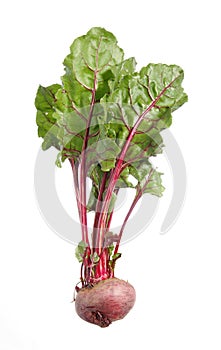 Beetroot isolated on white