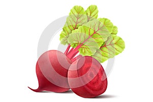 Beetroot isolated on white background. Fresh red beetroot whole and a half with leaves. Realistic 3d vector illustration of