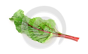 Beetroot leaf