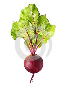 Beetroot with leaves