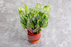 Beetroot leaves
