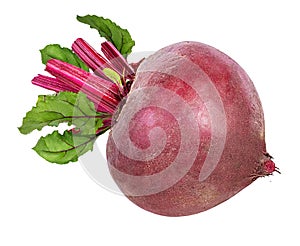 Beetroot with leaves isolated