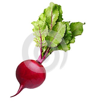 Beetroot with leaves solated on white background