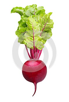 Beetroot with leaves solated on white background