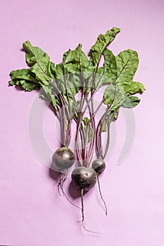 Beetroot on pink background.