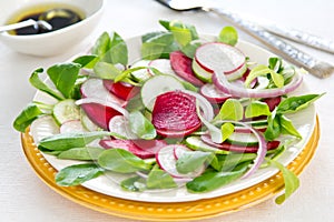 Beetroot and radish salad