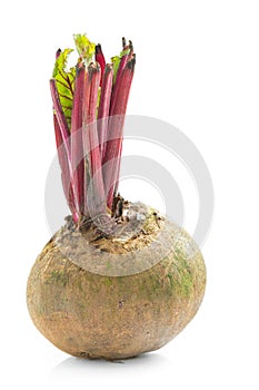 Beetroot  on white background