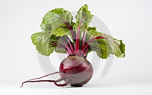 Beetroot White Background