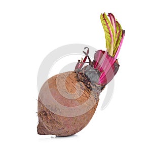 Beetroots isolated on white background.