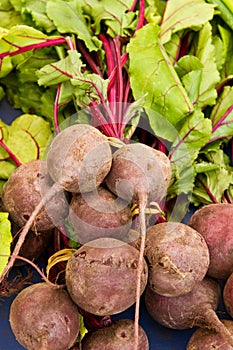 Beets