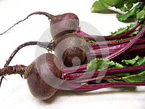 Beets