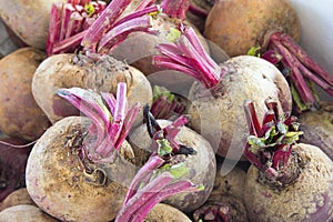 Beets or Beetroots Closeup