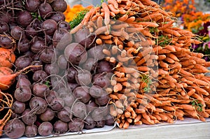 Beets and Carrots Root Vegetables