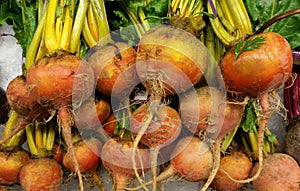 Golden Beets