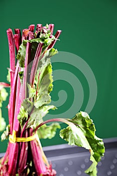 Beets tops  in a bunch- billboard for heathy eating