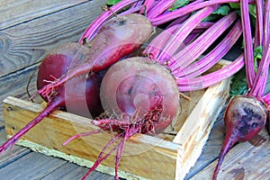 Beets on a wooden background