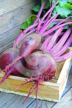 Beets on a wooden background