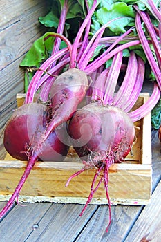 Beets on a wooden background