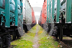 Beetween two freight trains
