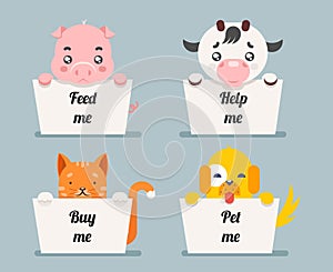 Beggar animals help cat dog pig cow cartoon flat design character vector illustration