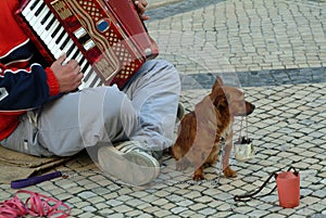 Beggar producing music in street