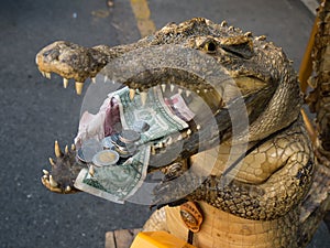 Begging stuffed crocodile
