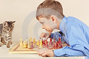 Beginner grandmaster with pretty kitten plays chess.