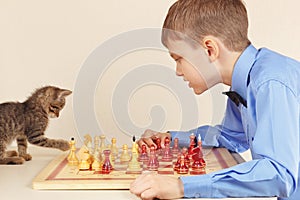 Beginner grandmaster with striped kitten plays chess.