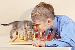 Beginner grandmaster with tabby kitten plays chess.