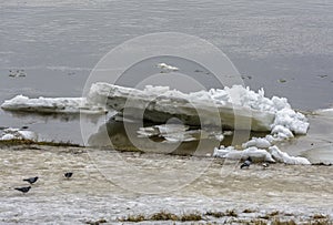 The beginning of ice drift on the river at the end of March