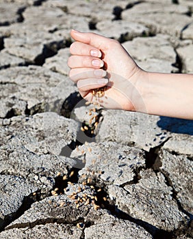 The beginning of life in the desert