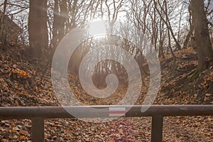 The beginning of the tourist trail on a foggy and sunny November morning among the trees.