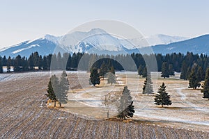 The Beginning Of Winter In The High Tatras, Poprad Valley, Slovakia. Winter Landscape Of Tatra Mountains. Snow-Covered Valley With