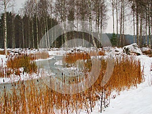 Beginning of Winter on the Saimaa Lakeside