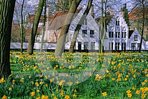 The beguinage of Bruges
