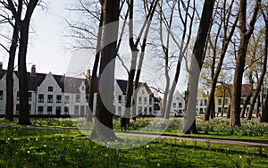 Beguinage in Bruges, Belgium photo