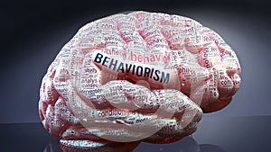 Behaviorism and a human brain photo