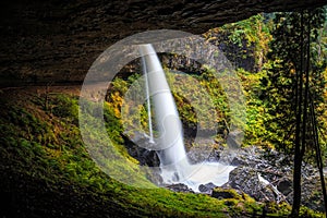 Behind North Falls Cavern, Silver Falls State Park, Oregon