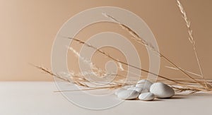 Beige Background with Dried Grass and White Pebbles.