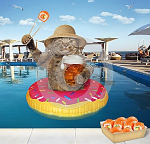 Cat drinks beer in pool at resort 3