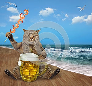 Cat drinks beer from mug on beach 2