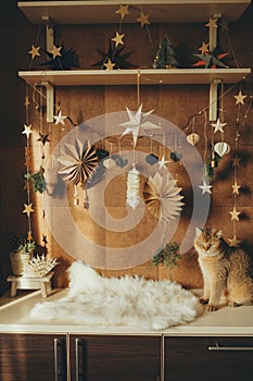 Beige and brown cat on Christmas background, handmade decor
