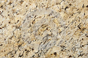 Beige and Brown Granite Surface Texture photo