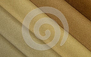 Beige Brown Leather Samples