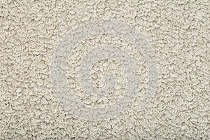 Beige carpet background. Gray carpet with texture on the surface. Materials and items for interior design of rooms and houses