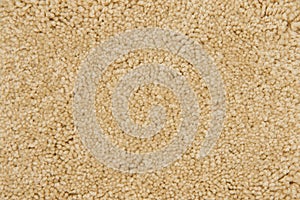 Beige carpet texture